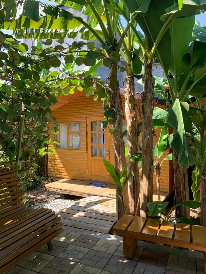Гостевой Дом У Левы Hotell Gagra Exteriör bild