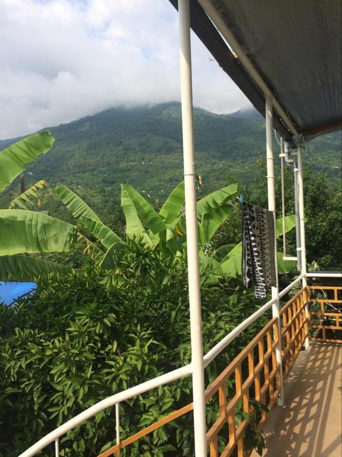 Гостевой Дом У Левы Hotell Gagra Exteriör bild